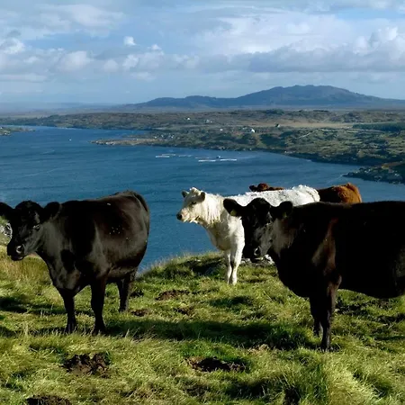 アパート 263 - クリフデン