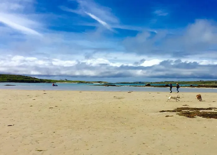 Апартаменты 263 - *