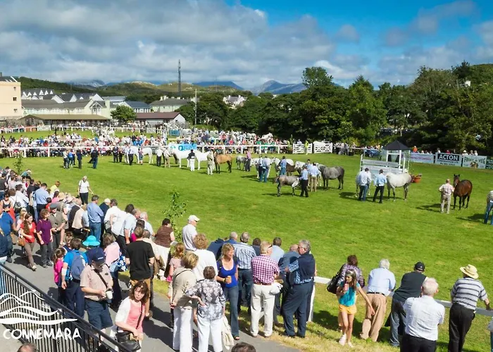 263 - アパート クリフデン