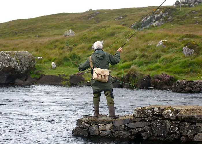 263 - Апартаменты *